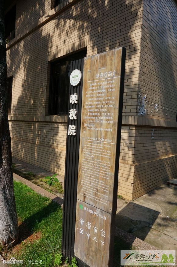 et71071120245011.jpg