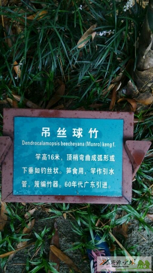 et71321222193517.jpg