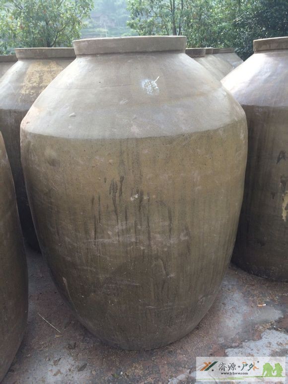 et7163132123516.jpg
