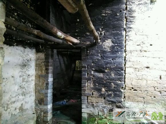 et7917282144558.jpg