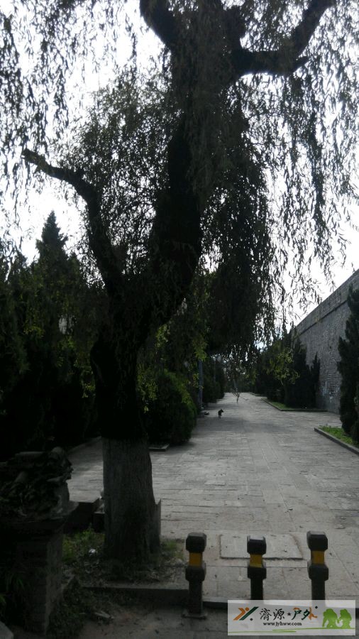 et79523019210721.jpg