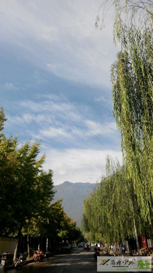 et79523019210739.jpg