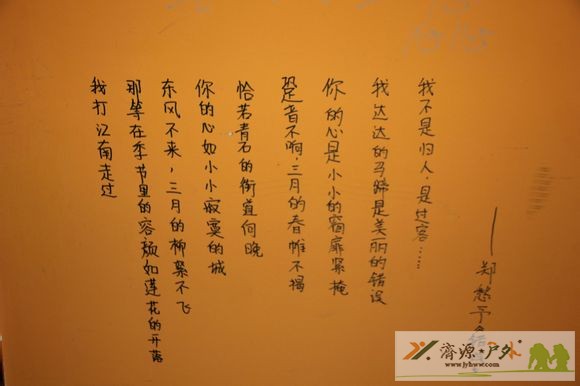 et8095080647458.jpg