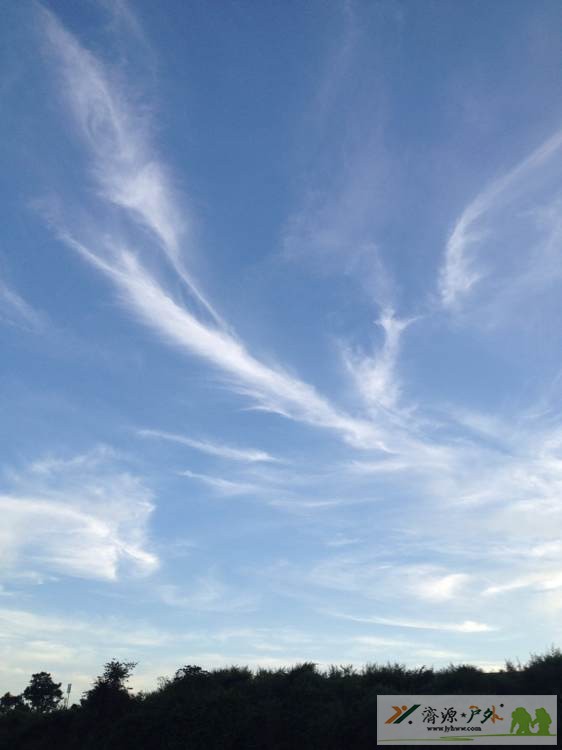 et8177151426561.jpg