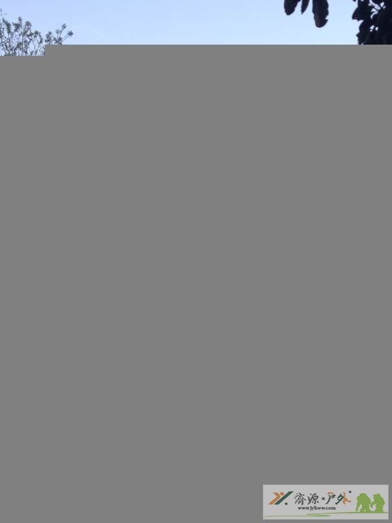 et8177151426569.jpg