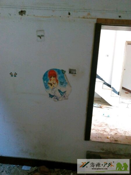 et81991518464015.jpg