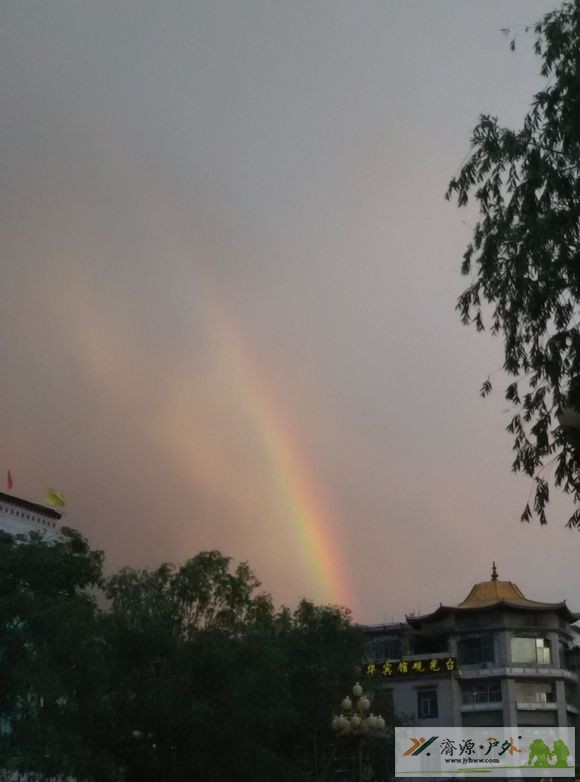 et8258222130432.jpg
