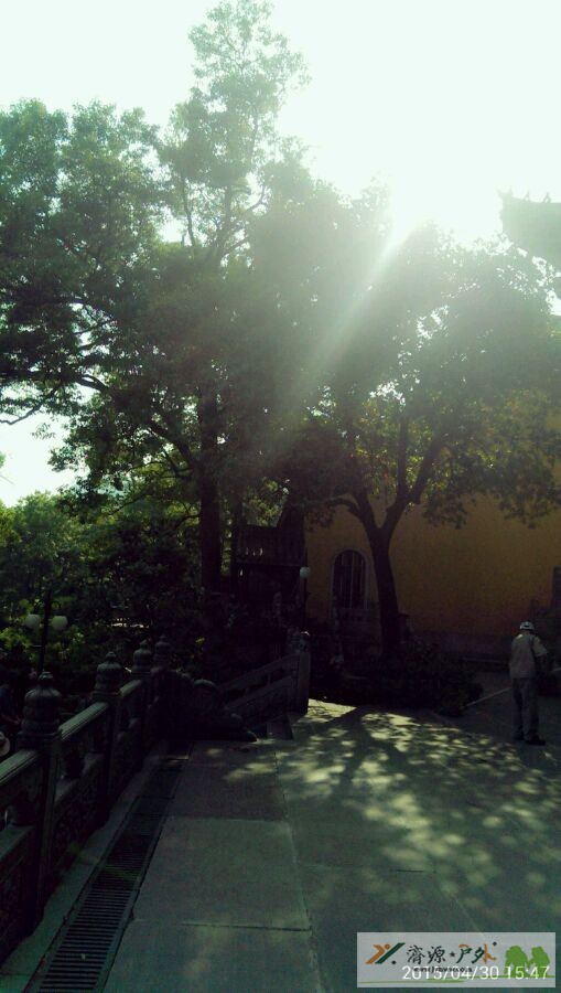 et8317232127189.jpg